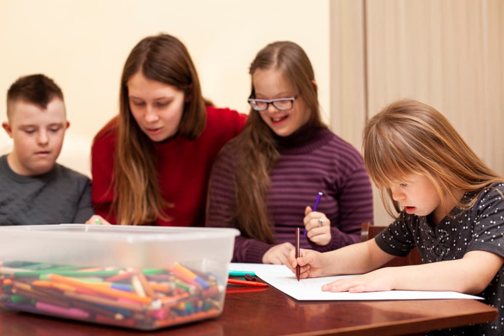 educación inclusiva discapacidad intelectual